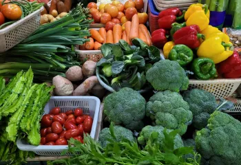a picture of a variety of vegetables 