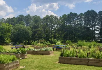 J.M. Tull-Gwinnett Family YMCA Community Garden 