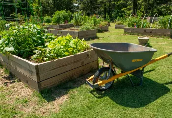 Community Garden