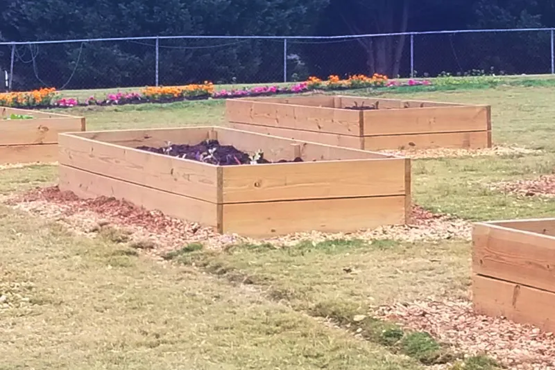 University of Georgia Extension Community Garden