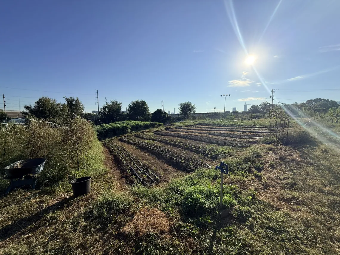 a picture of a cleaned up garden outside Atlanta