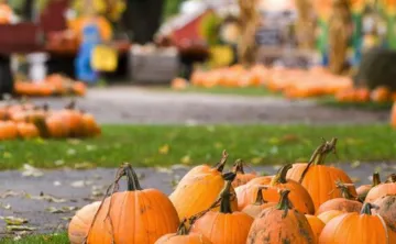pumpkins in fall 