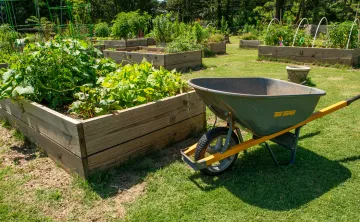 Community Garden